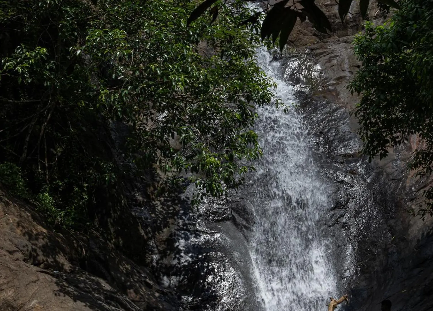 Aruvikuzhy Waterfalls Villa Kozhancheri